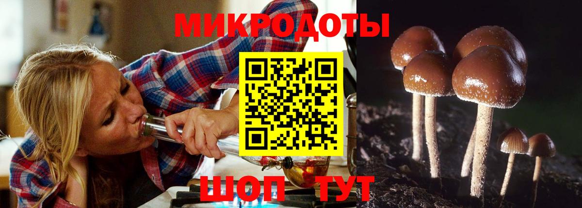 Псилоцибиновые грибы Magic Shrooms Валуйки