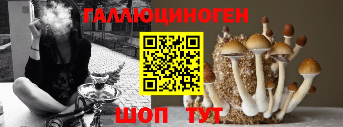 Валуйки  где купить   Вход с VPN  Галлюциногенные грибы MAGIC MUSHROOMS 