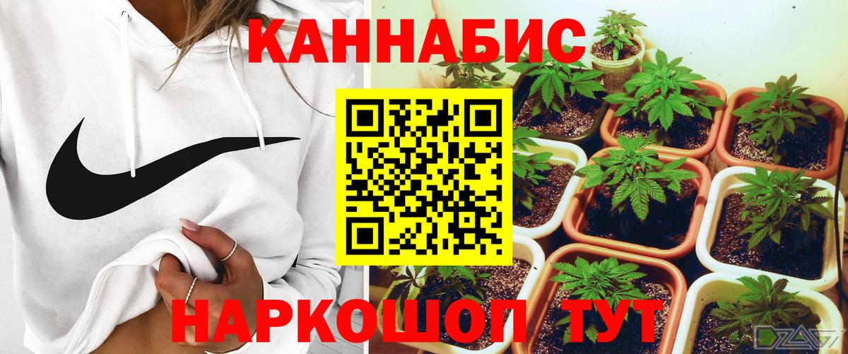 Конопля AK-47  Вход с VPN  Валуйки  Бошки марихуана марихуана  Канабис MAZAR  Канабис планчик 